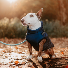 Laden Sie das Bild in den Galerie-Viewer, Doggykingdom® Winterjacke mit lebenslanger Garantie