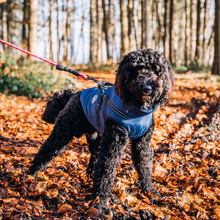 Laden Sie das Bild in den Galerie-Viewer, Doggykingdom® Winterjacke mit lebenslanger Garantie